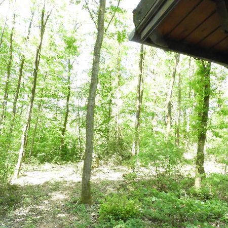 Chalet Louislola Βίλα Oignies Εξωτερικό φωτογραφία